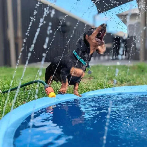 The Splash Pad™