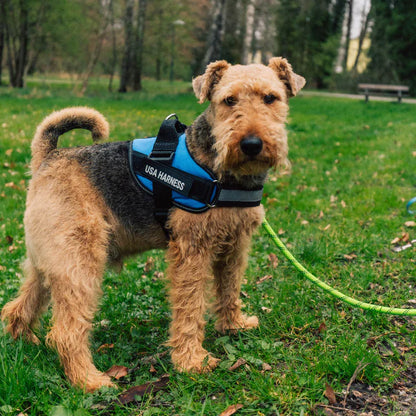 Custom Canines Harness™